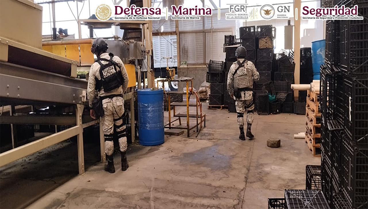 Plan Michoacán por la Paz y la Justicia deja otros 278 detenidos y más de 700 kilos de droga asegurada